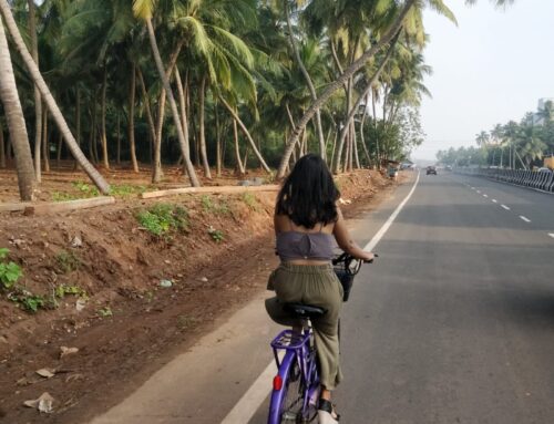 Cycling Accelerates India’s Green Shift